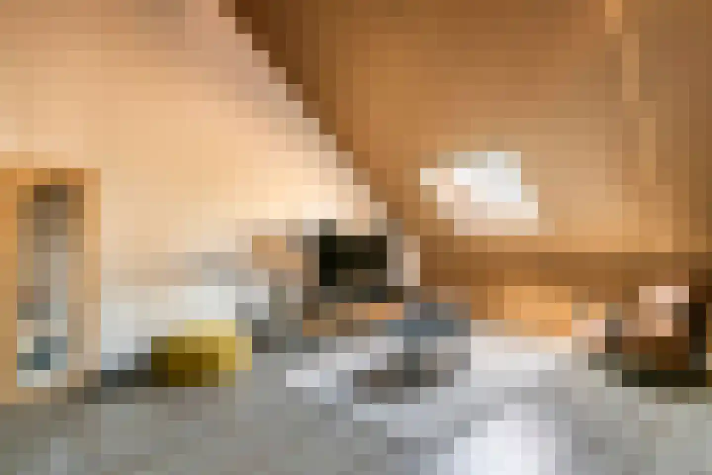 Fazant 14 Maurik thumbnail 28
