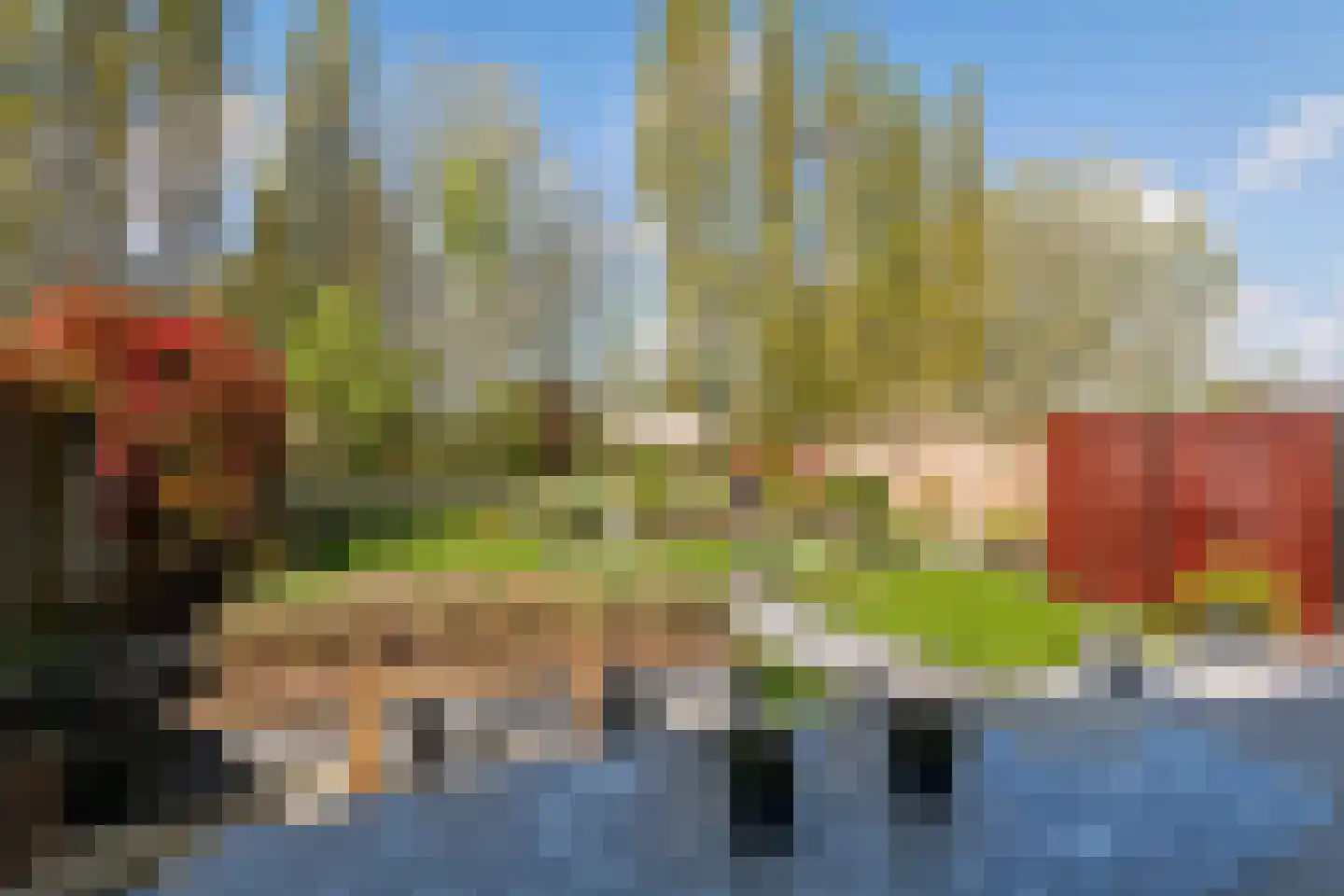 Fazant 14 Maurik thumbnail 32