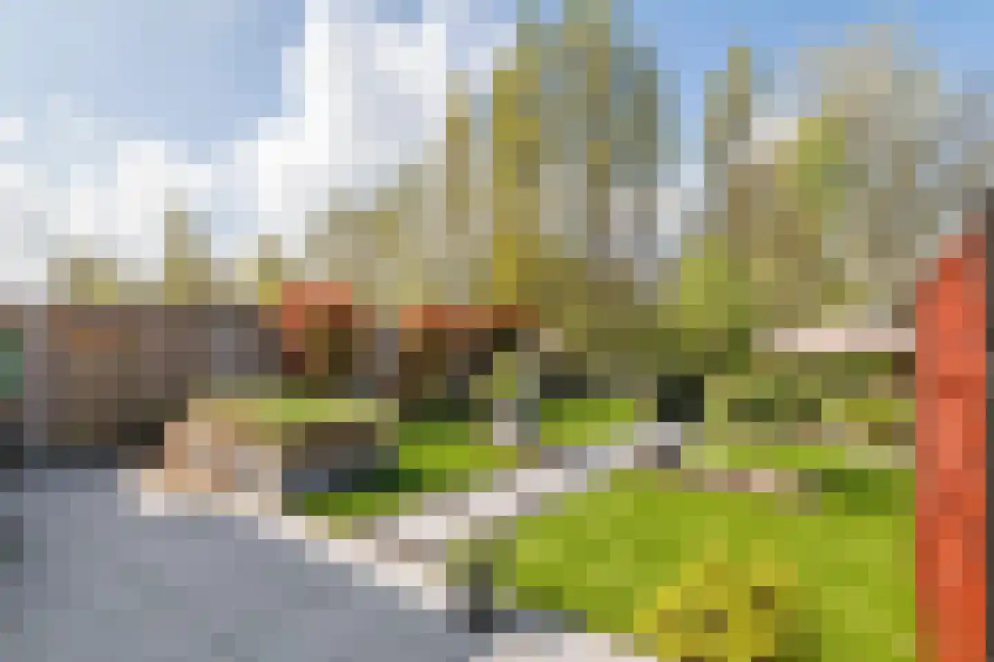 Fazant 14 Maurik thumbnail 33