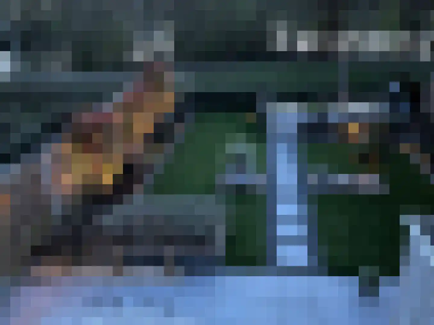 Fazant 14 Maurik thumbnail 34