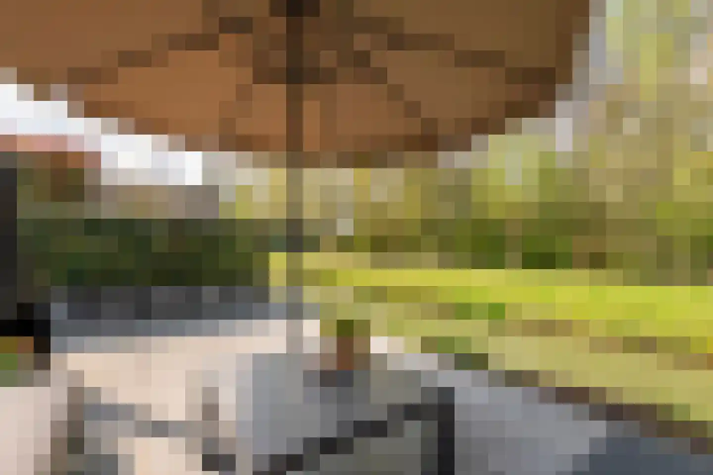 Fazant 14 Maurik thumbnail 37