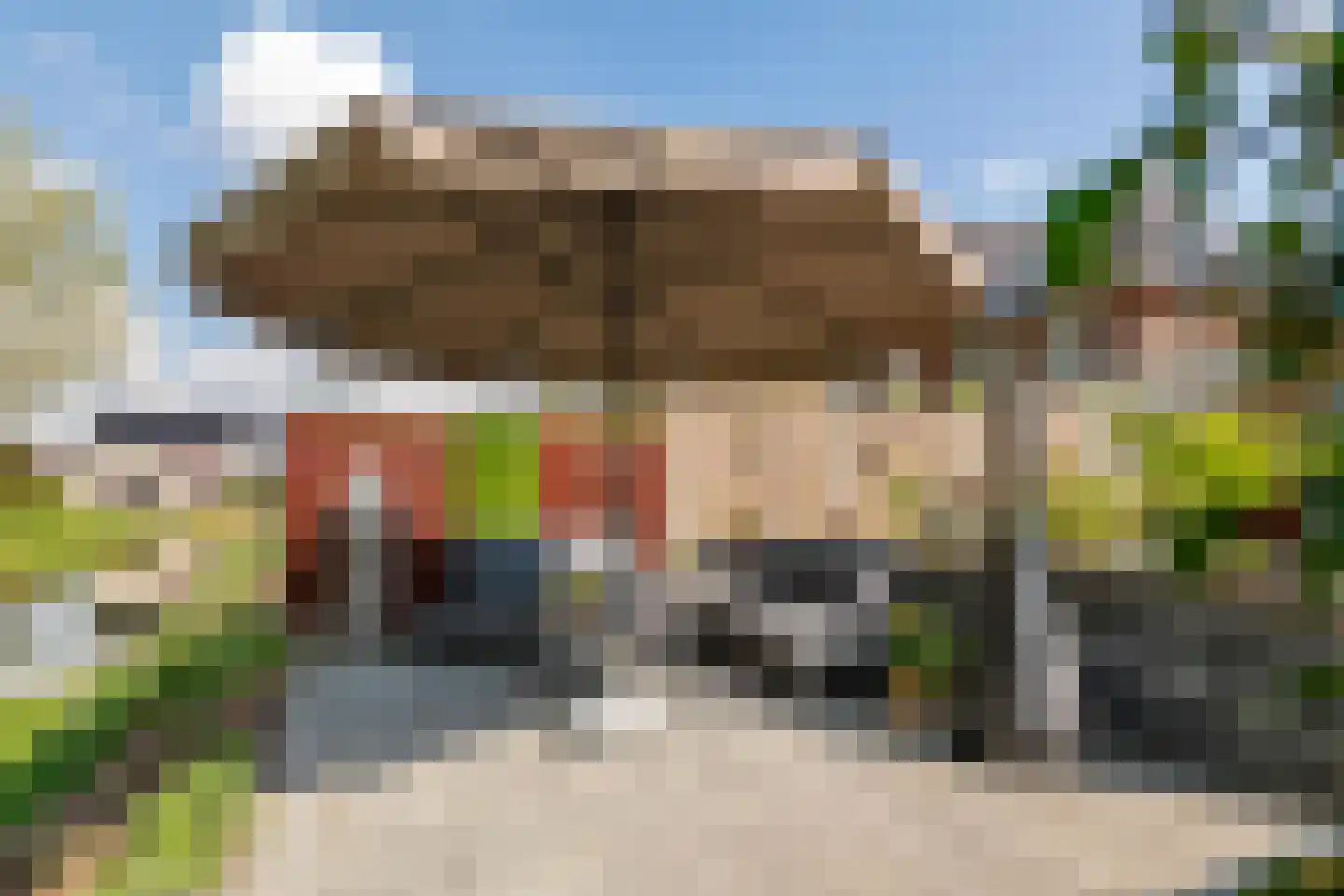 Fazant 14 Maurik thumbnail 38