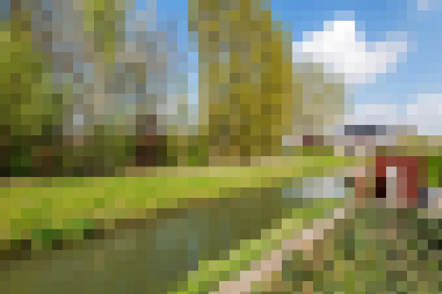 Fazant 14 Maurik thumbnail 39