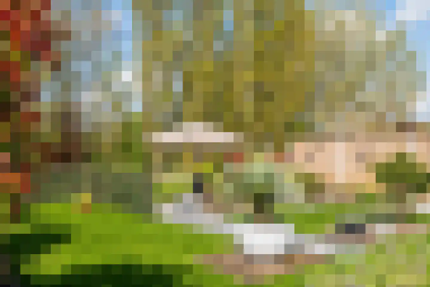 Fazant 14 Maurik thumbnail 42