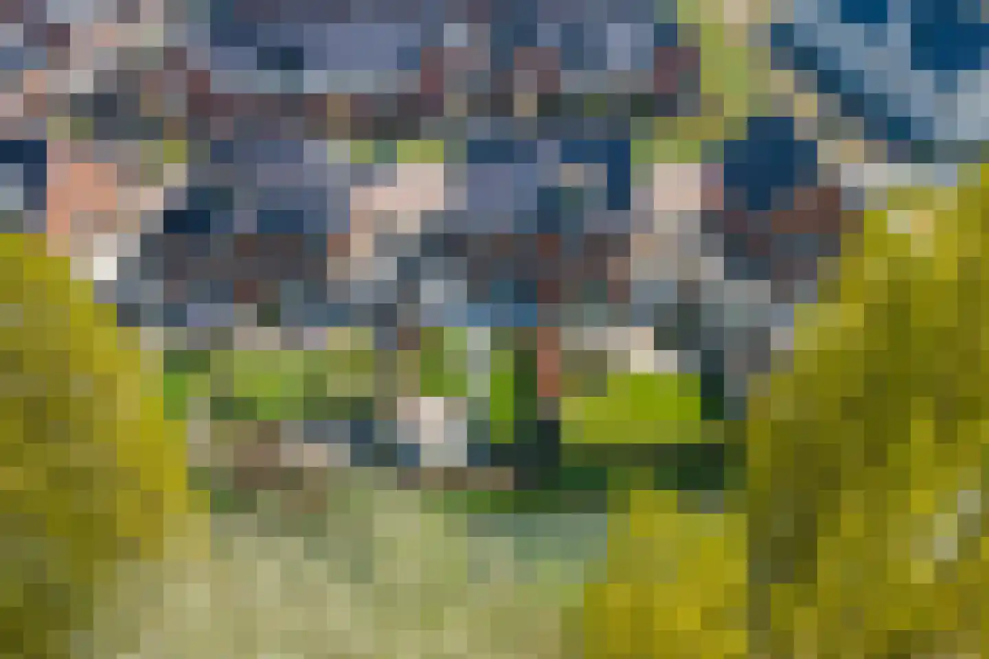 Fazant 14 Maurik thumbnail 45