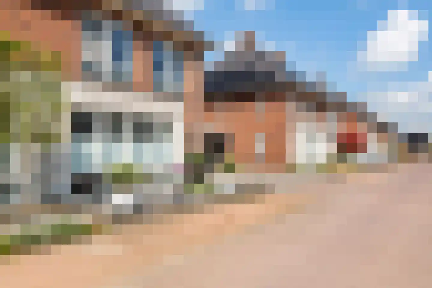 Fazant 14 Maurik thumbnail 47