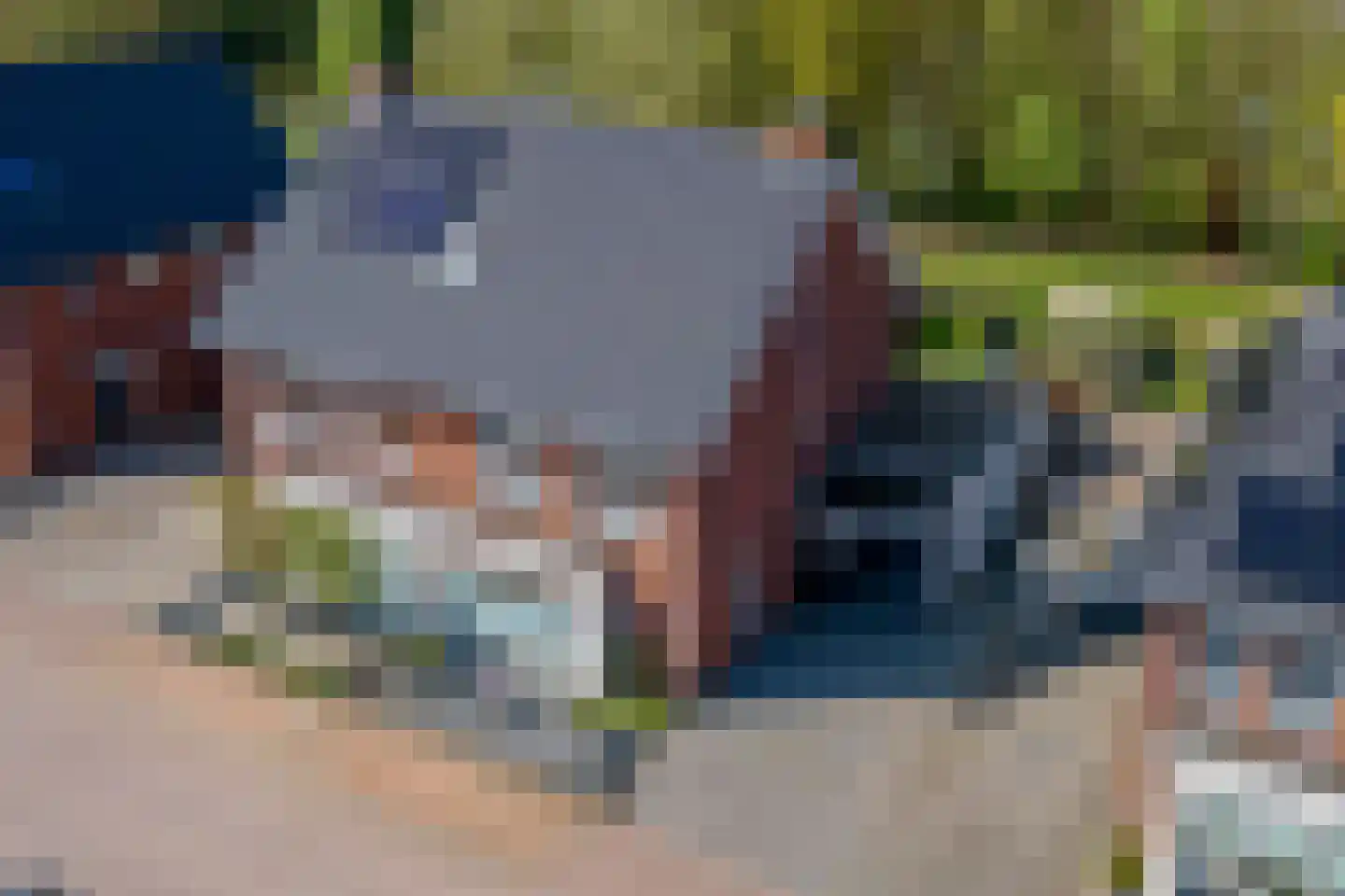 Fazant 14 Maurik thumbnail 48