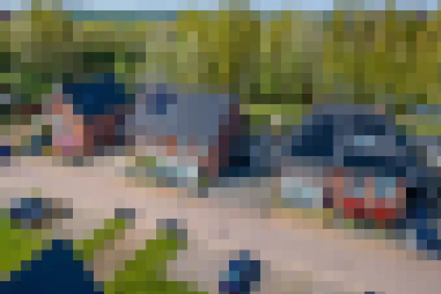 Fazant 14 Maurik thumbnail 49