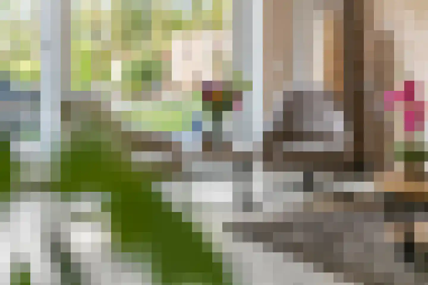 Fazant 14 Maurik thumbnail 4