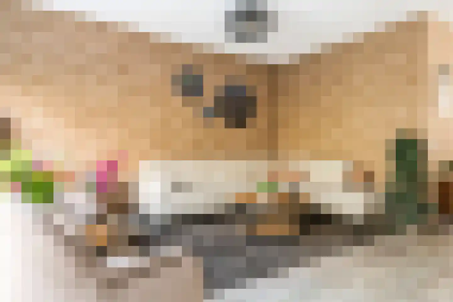 Fazant 14 Maurik thumbnail 6