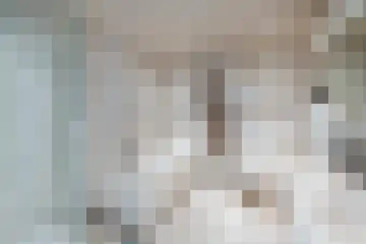 Fazant 142 Ridderkerk thumbnail 15