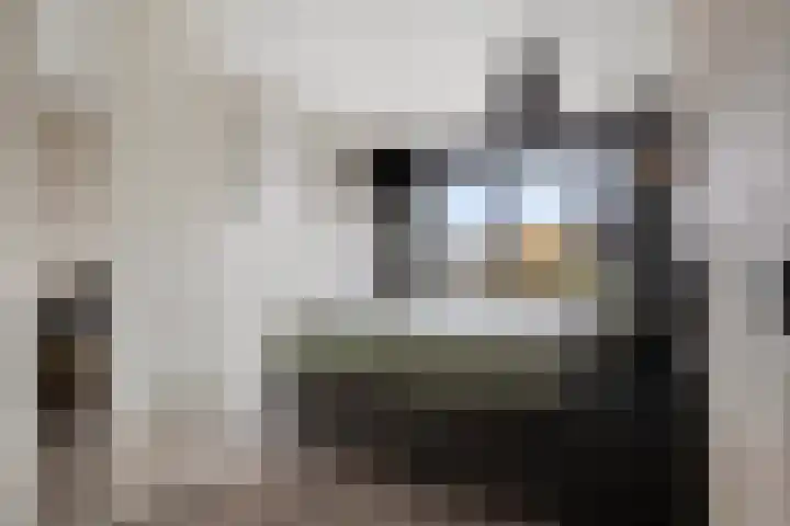 Fazant 142 Ridderkerk thumbnail 20