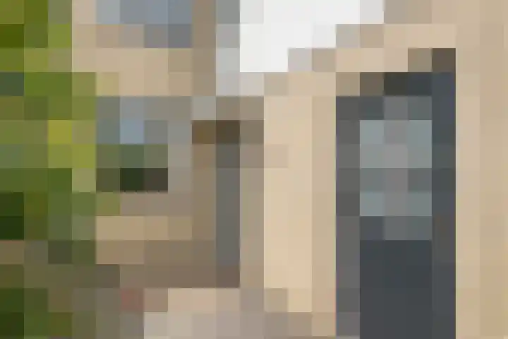 Fazant 142 Ridderkerk thumbnail 24