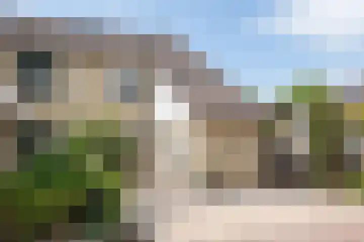 Fazant 142 Ridderkerk thumbnail 25