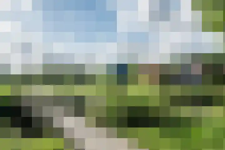 Fazant 142 Ridderkerk thumbnail 26