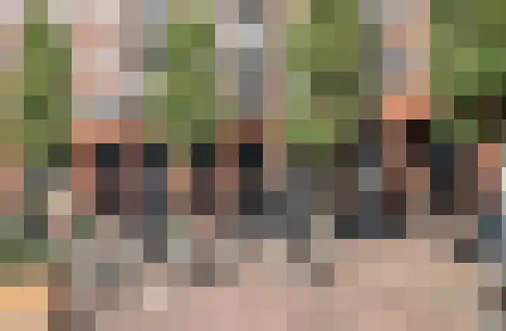 Fazant 142 Ridderkerk thumbnail 30