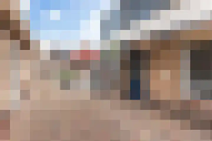 Fazant 142 Ridderkerk thumbnail 33