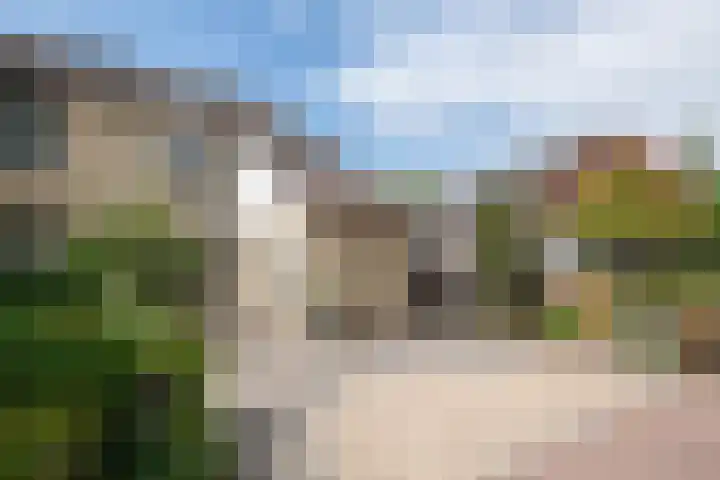 Fazant 142 Ridderkerk thumbnail 34