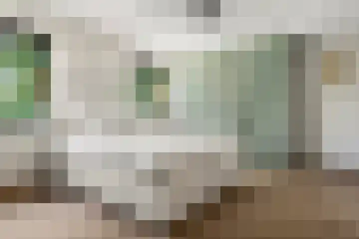 Fazant 142 Ridderkerk thumbnail 4