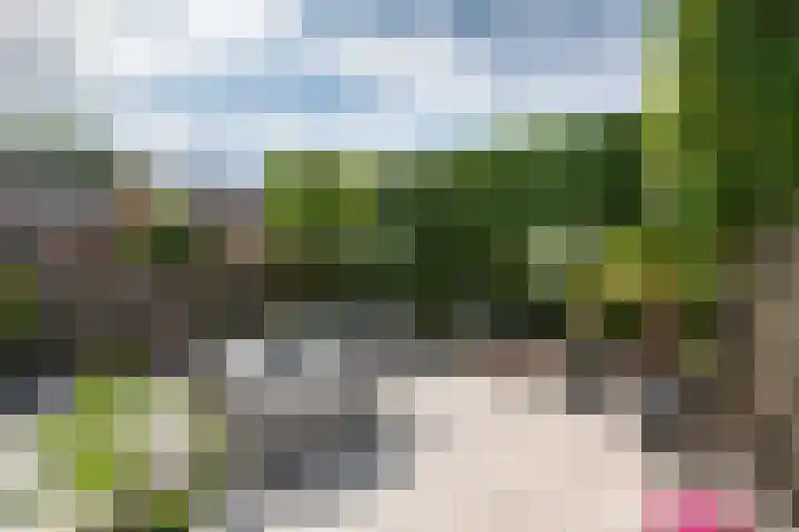 Fazant 142 Ridderkerk thumbnail 8