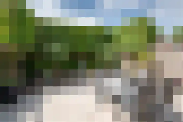 Fazant 142 Ridderkerk thumbnail 9
