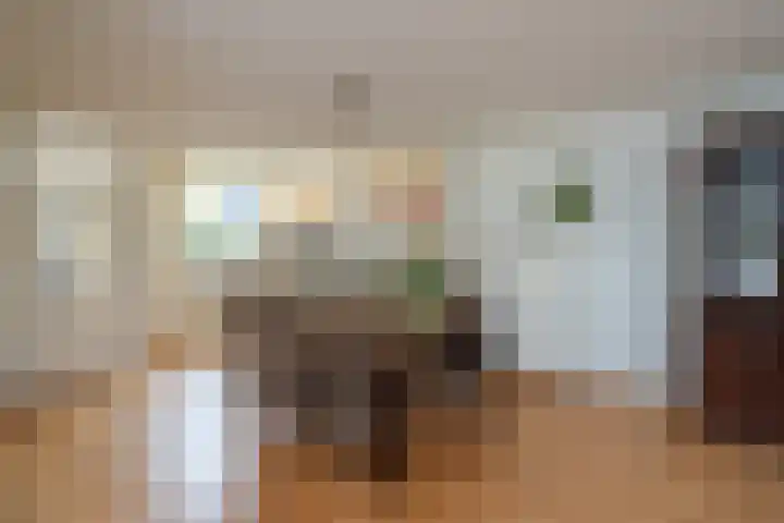 Fazant 163 Ridderkerk thumbnail 11