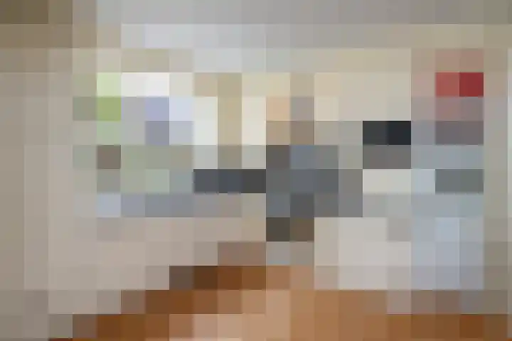 Fazant 163 Ridderkerk thumbnail 12