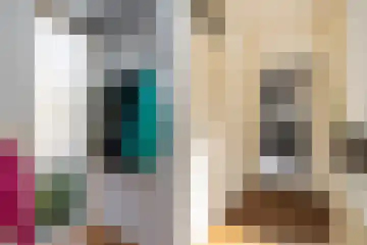 Fazant 163 Ridderkerk thumbnail 15