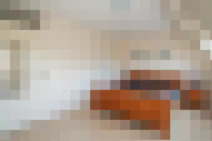 Fazant 163 Ridderkerk thumbnail 17