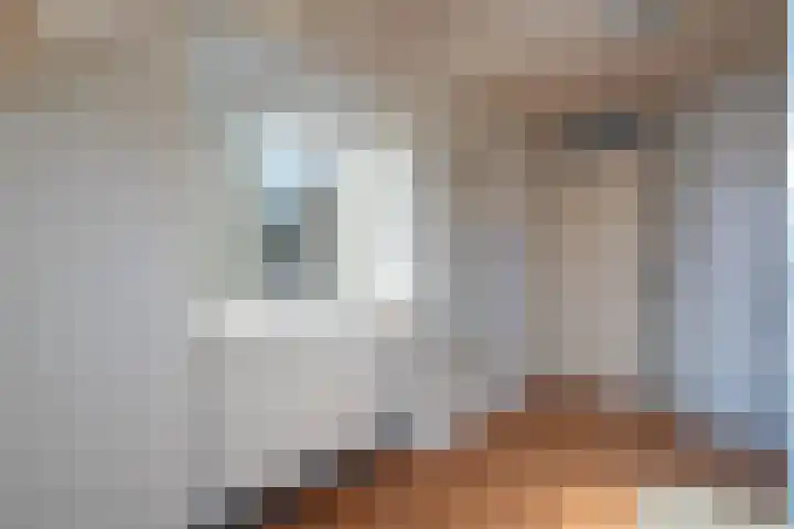 Fazant 163 Ridderkerk thumbnail 20