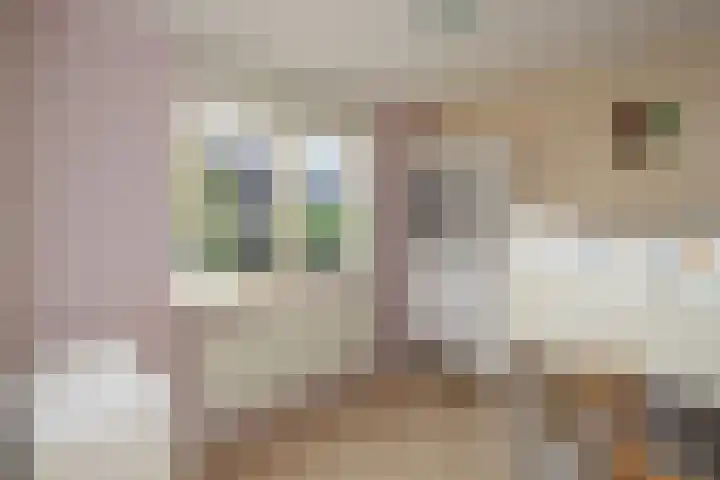 Fazant 163 Ridderkerk thumbnail 23