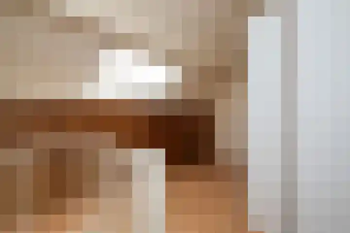 Fazant 163 Ridderkerk thumbnail 26