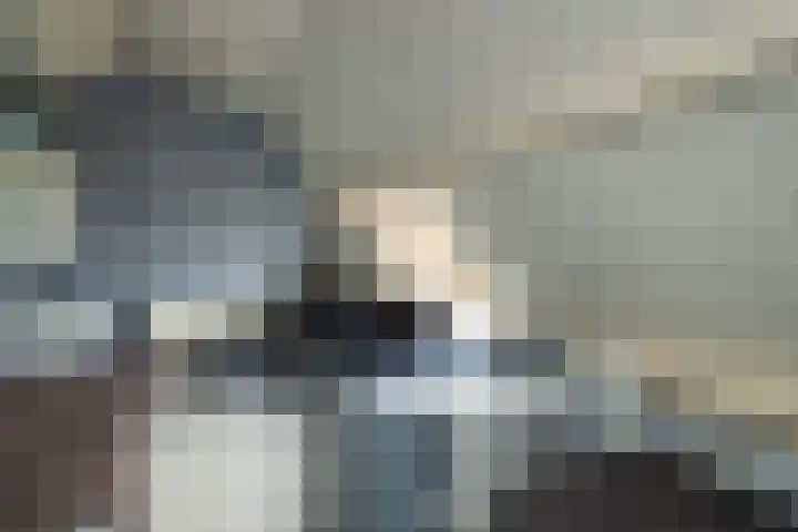 Fazant 163 Ridderkerk thumbnail 27