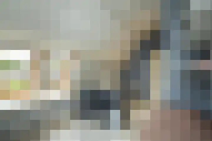 Fazant 163 Ridderkerk thumbnail 29
