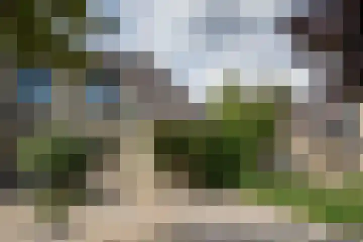 Fazant 163 Ridderkerk thumbnail 31