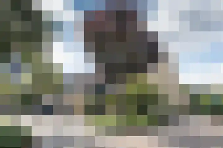 Fazant 163 Ridderkerk thumbnail 32