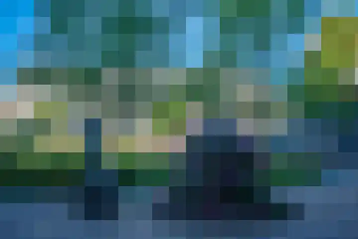 Fazant 163 Ridderkerk thumbnail 35