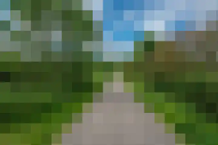 Fazant 163 Ridderkerk thumbnail 37