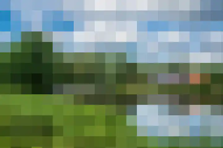Fazant 163 Ridderkerk thumbnail 38