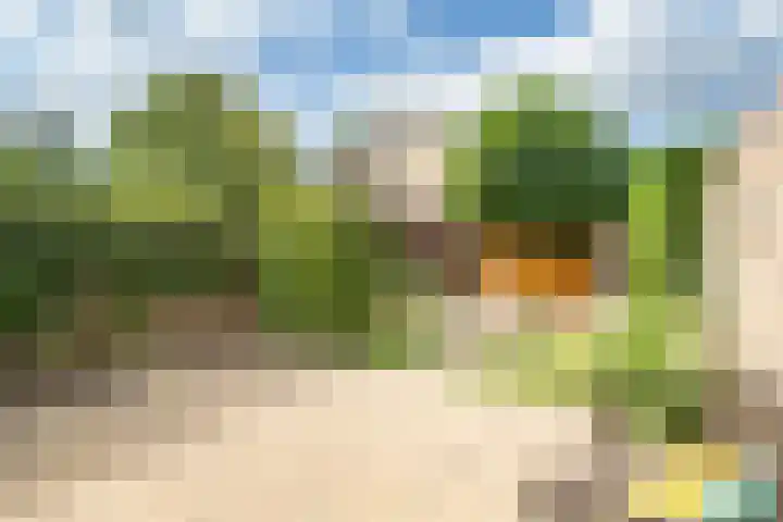 Fazant 163 Ridderkerk thumbnail 6