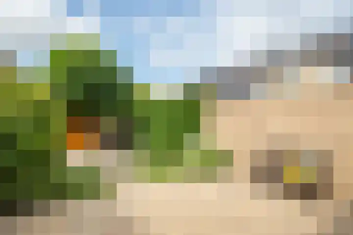 Fazant 163 Ridderkerk thumbnail 7