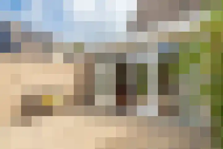 Fazant 163 Ridderkerk thumbnail 8
