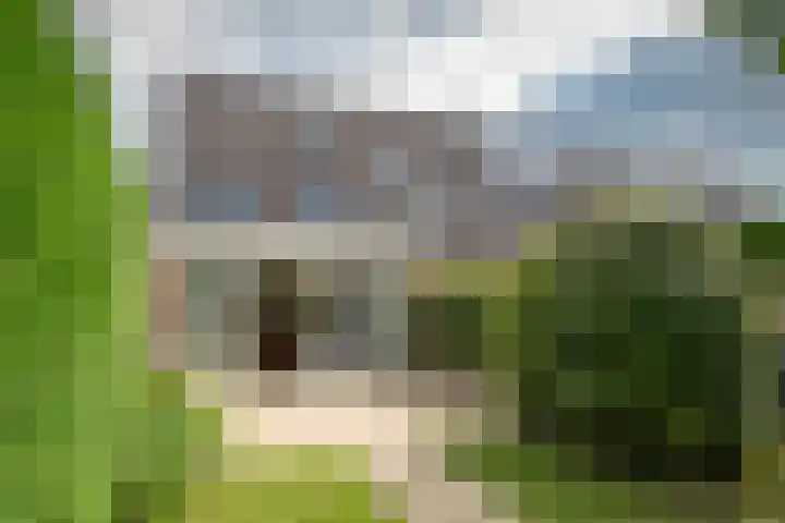 Fazant 163 Ridderkerk thumbnail 9