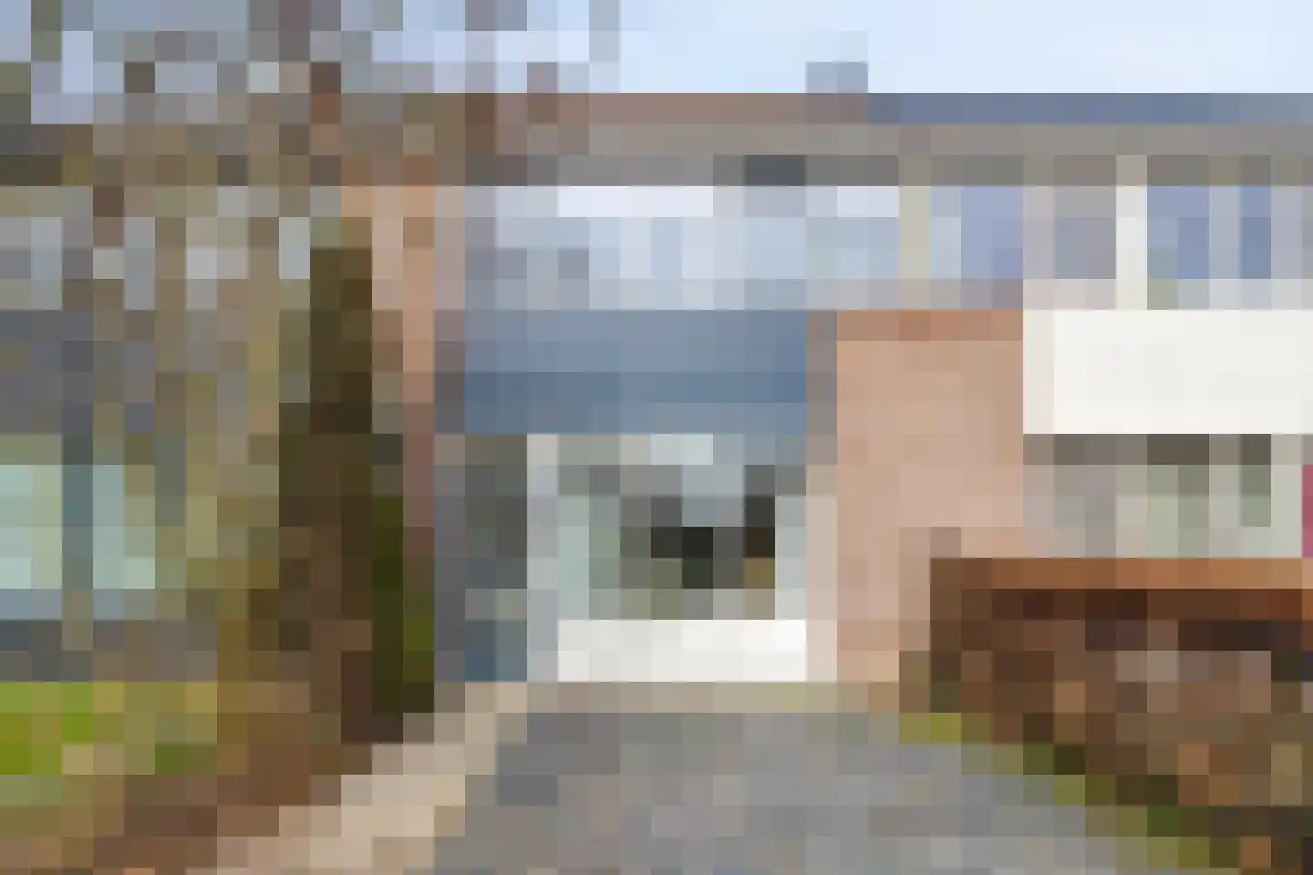 Fazant 19 Grijpskerk