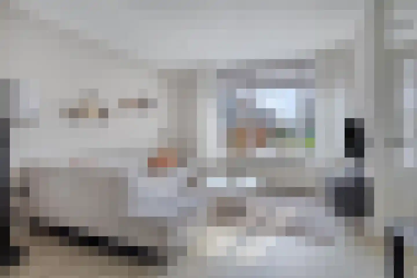 Fazant 19 Grijpskerk thumbnail 10