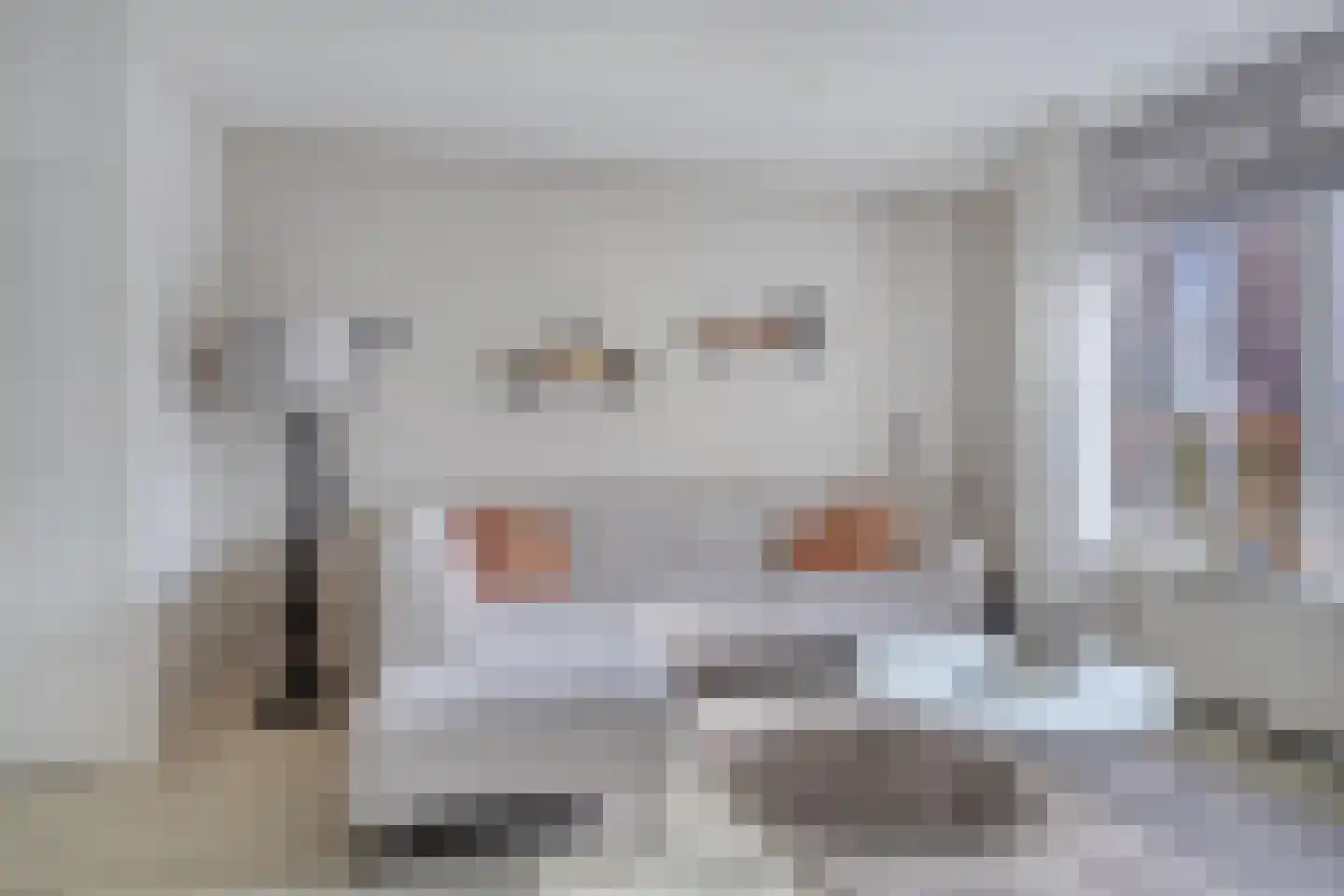 Fazant 19 Grijpskerk thumbnail 11