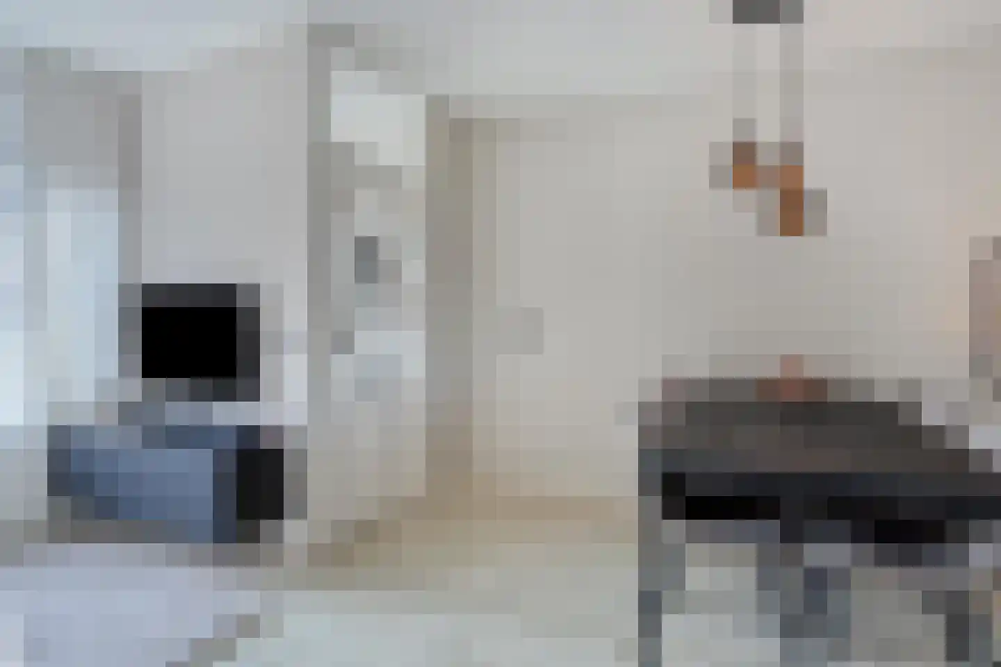 Fazant 19 Grijpskerk thumbnail 16