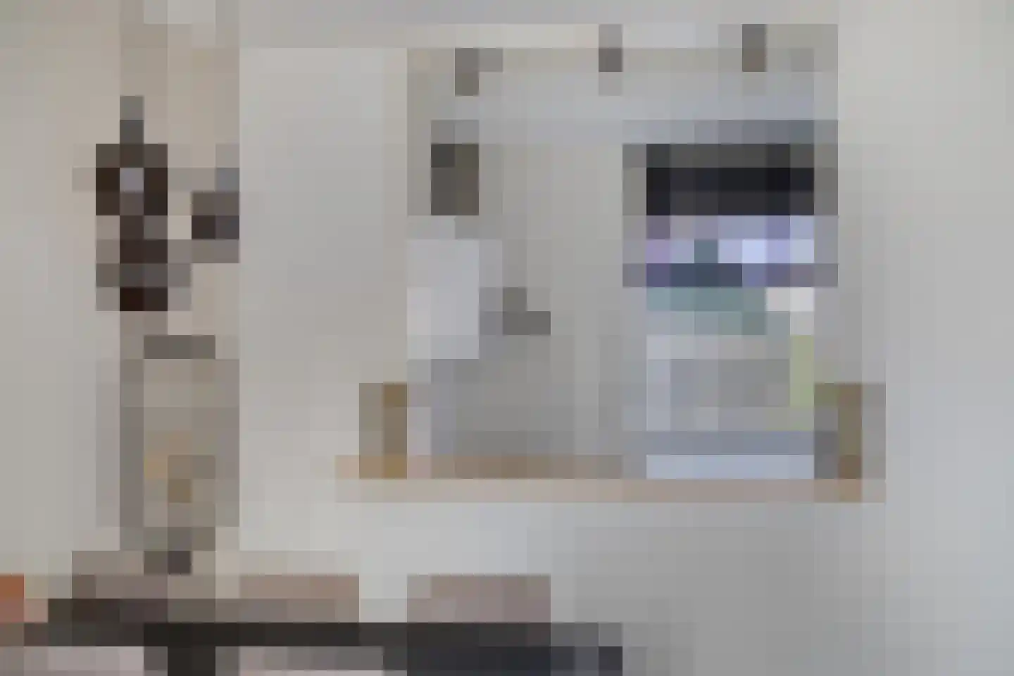 Fazant 19 Grijpskerk thumbnail 17