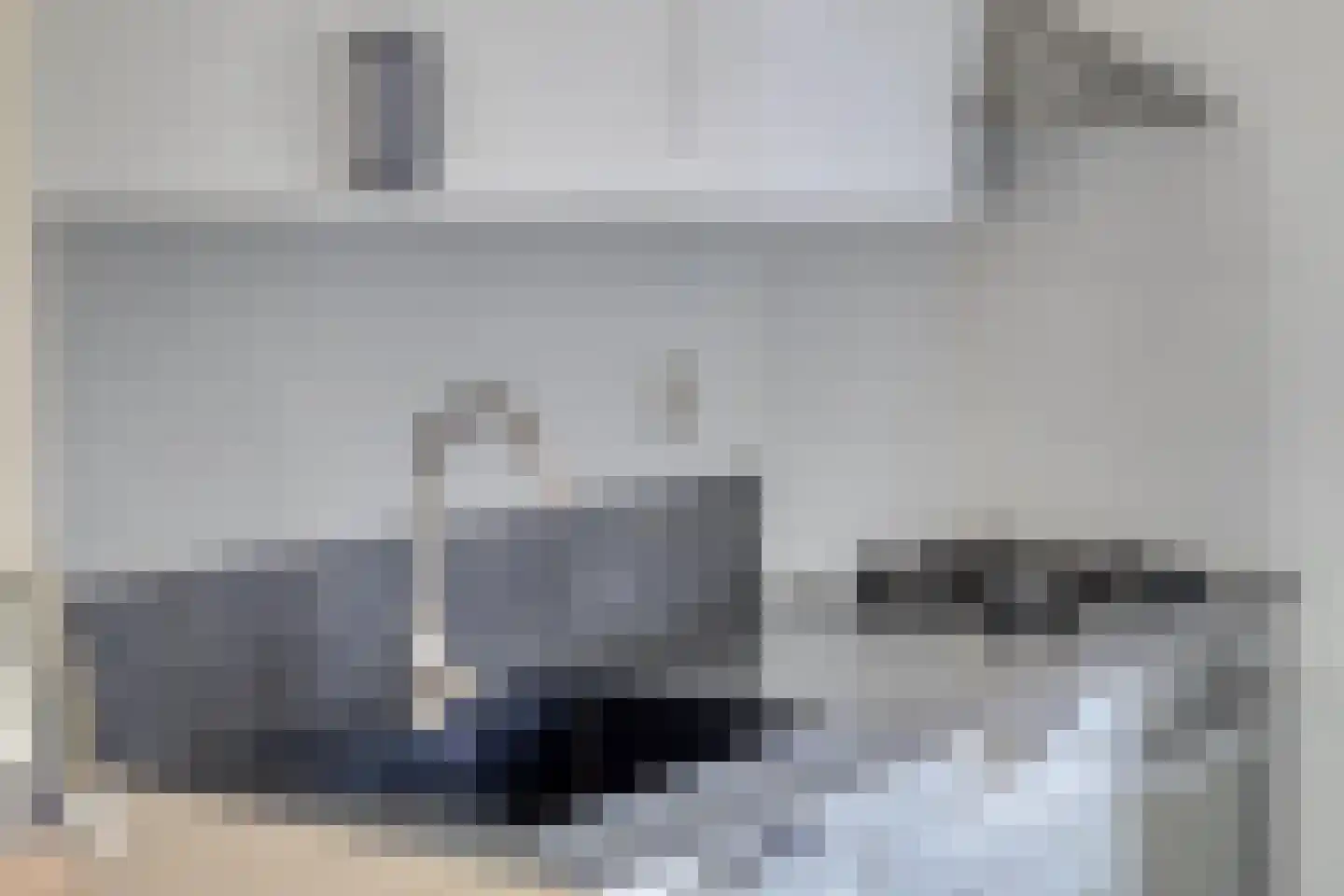 Fazant 19 Grijpskerk thumbnail 18