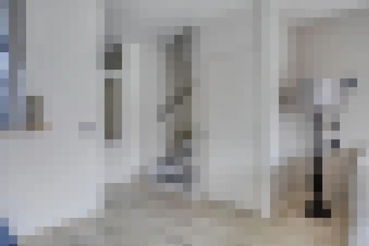 Fazant 19 Grijpskerk thumbnail 20